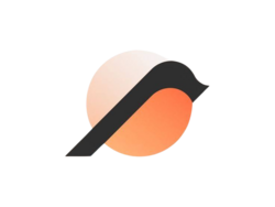 BIRDIES logo