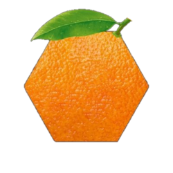 Hex Orange Addresslogo