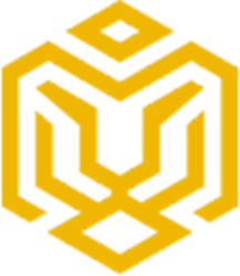 Seek Tiger logo