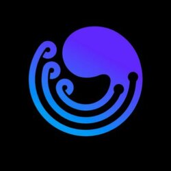 Ottochain logo