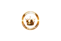 BNBKinG logo