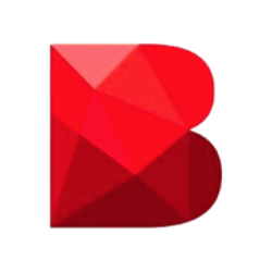 BOOM logo