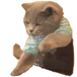 Clicking Cat logo