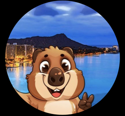 SelfieSteve logo