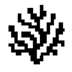 Coral Protocol logo