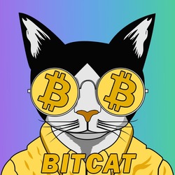 Bitcat logo