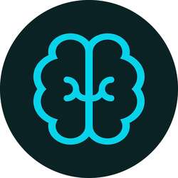 Bndr logo