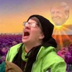 Trump Derangement Syndrome logo