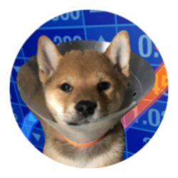 gogowifcone logo