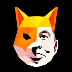 Meme Elon Doge Floki logo