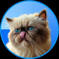 Mr. Miggles logo