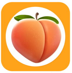 PornRocket logo