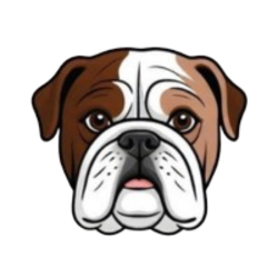NDX6900 logo