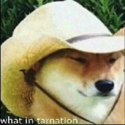 What in Tarnation? logo