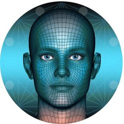 Metaverse Face logo