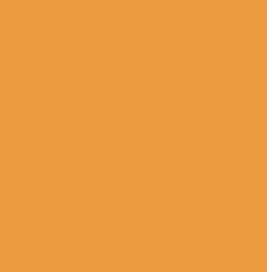 BMP logo