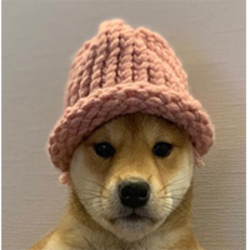 dogwifhat Eth logo