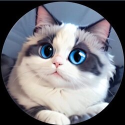 Huhu Cat logo