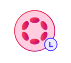 Liquid Staking Dot logo