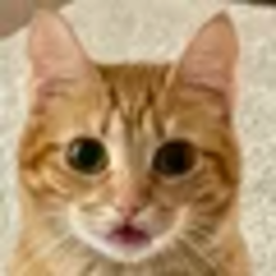 Popcat logo