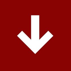 lower logo