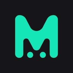 Mint Token logo