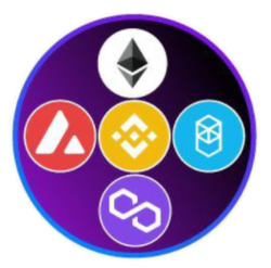Multiverse Capital logo