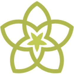 Spring Token logo