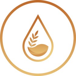 ENKI Protocol logo