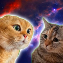 TwoTalkingCats logo