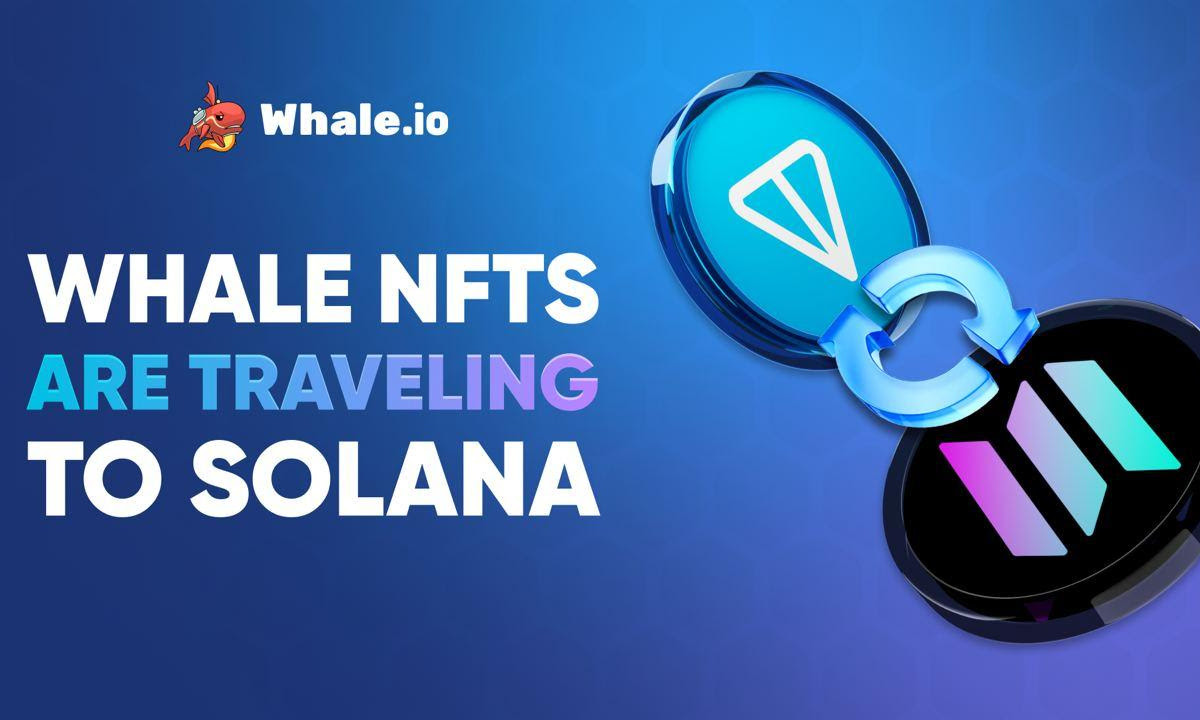 Whale NFT Launches TON to Solana Migration on Bridgemedaddy.com