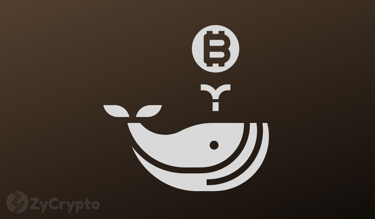 Bitcoin Whale Addresses Record Over $3.6 Billion Inflow as Bulls Bid Recovery
