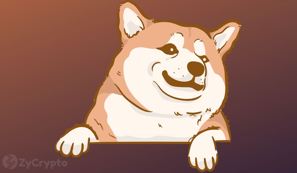 Market Analysts Outline 3 Catalysts For Shiba Inu Eruption To Highly-Anticipated $0.0003 SHIB Price