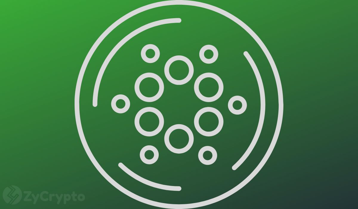 Hoskinson Claims New Cardano Tool Will Outperform Solana In Network Speed