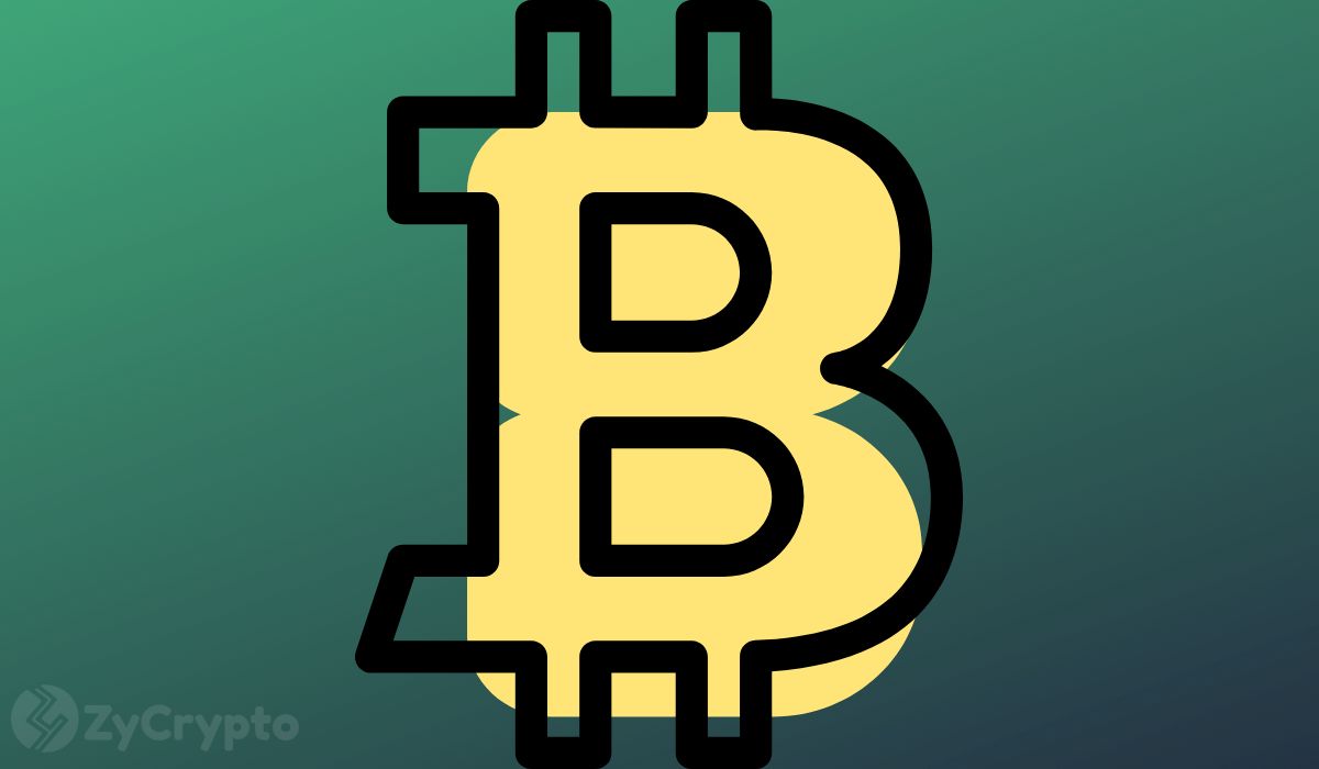 Crypto Analyst Says Bitcoin Is Undervalued Despite On-Chain Data, Is An Uptick Ahead?