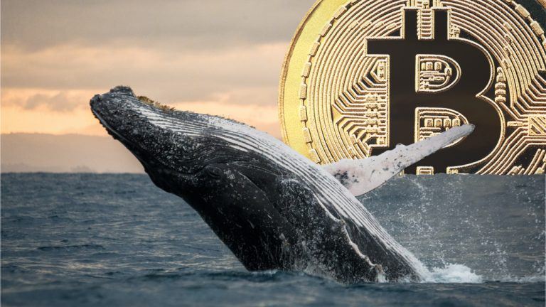 Cryptoquant Report Flags Stalled Whale Accumulation, Miner Pressure Hits <a href=