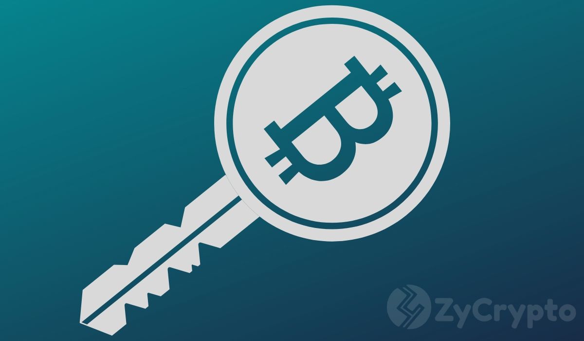 Changpeng Zhao Reveals His Crypto Portfolio, Users React to BTC Holdings