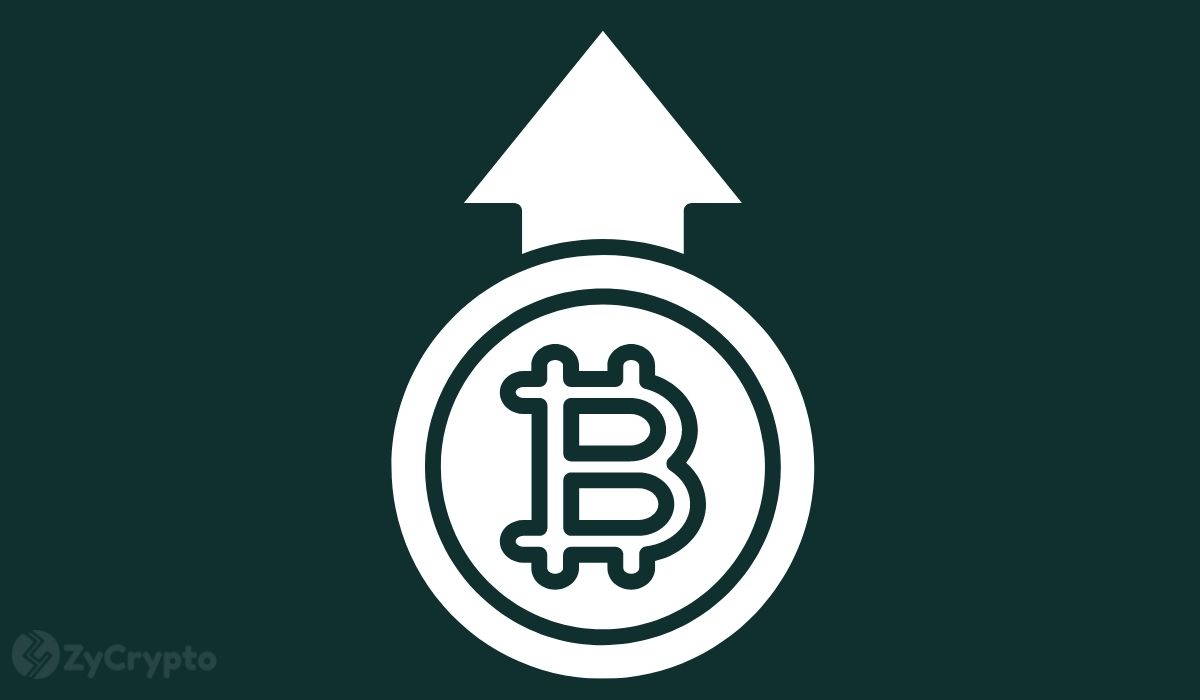 Strategy Increases Total Holdings To 538,200 BTC As Over 13,000 Institutions Are Exposed To The Bitcoin-Buying Firm